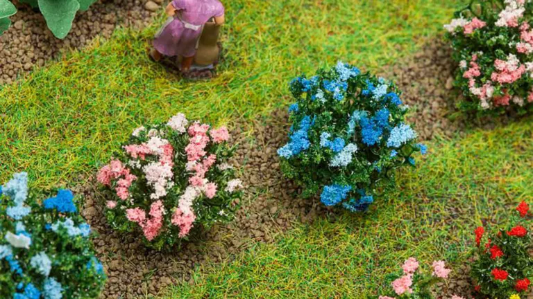 12 ortensie