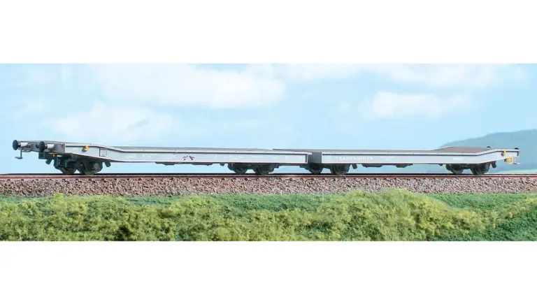 Carro Tipo Laaps (TWA) Gal livrea grigia